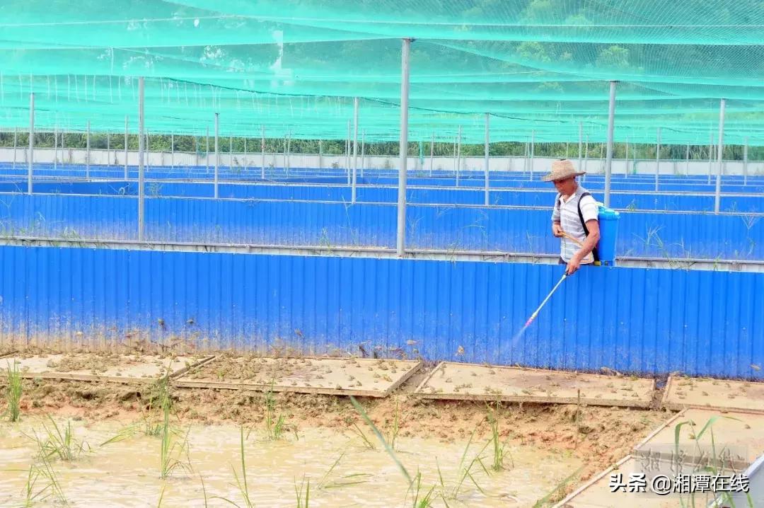 鎺ㄨ繘浜т笟鎵惰传,浜т笟鎵惰传閾哄氨鑷村瘜涔嬭矾