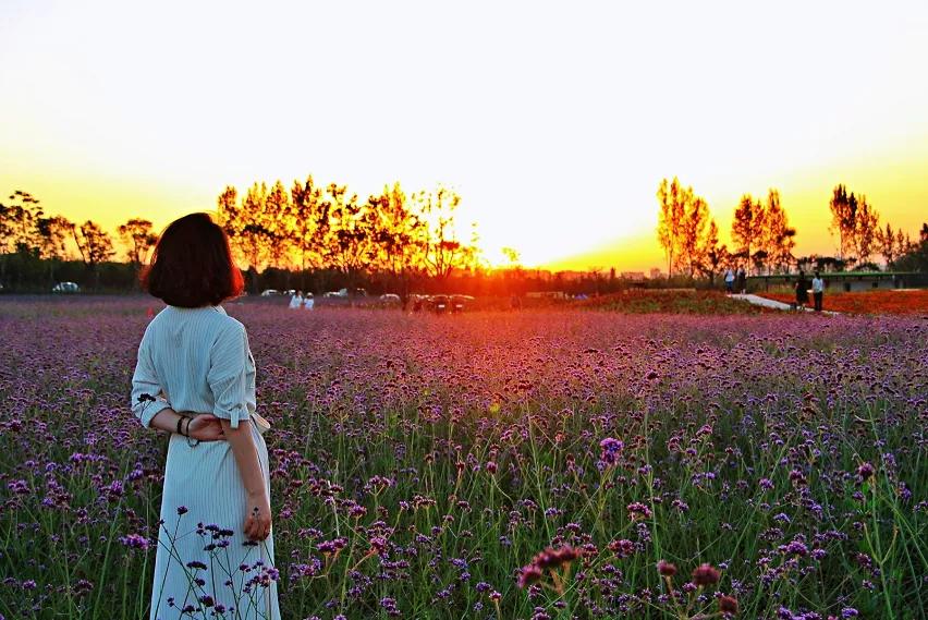 西安公园24小时开放,西安免费儿童玩的公园