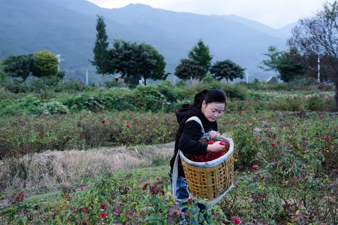 在大理生活的外省人,生活在别处的人