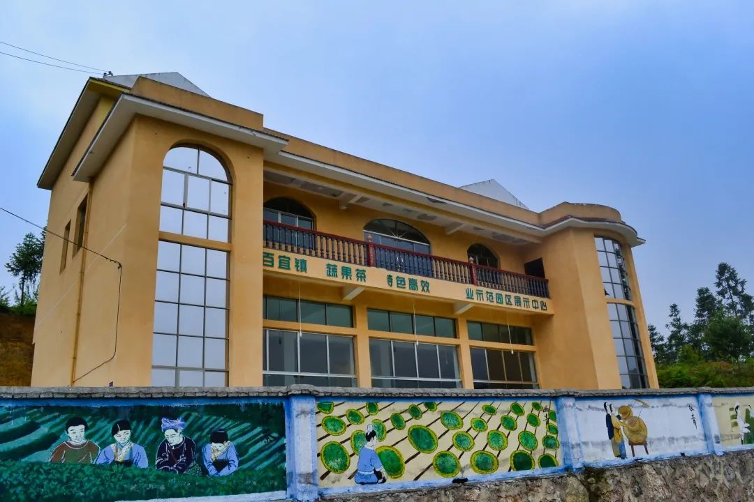 赏春图鉴丨赏花海、品清茶、尝美食...乌当百宜镇这条宝藏春游线路，就等你来打卡啦！