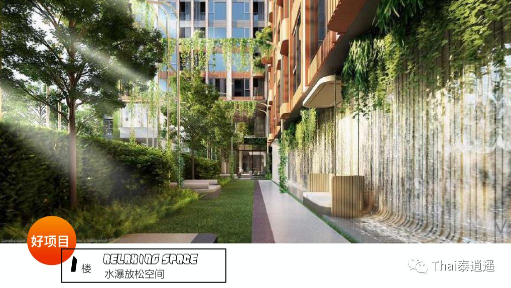 泰国航空都有哪些,泰国小常识100例