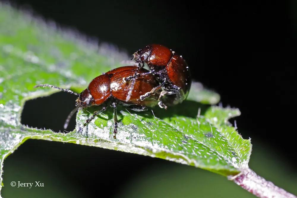 情人节，就该和爱的人*爱做**做的事