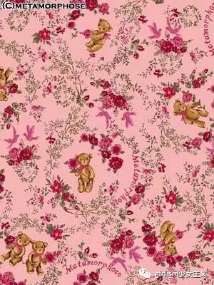 世界上最美丽的泰迪熊,最可爱的泰迪熊