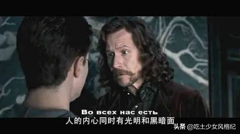 哈利波特四十岁生日的样子,哈利波特十九年后