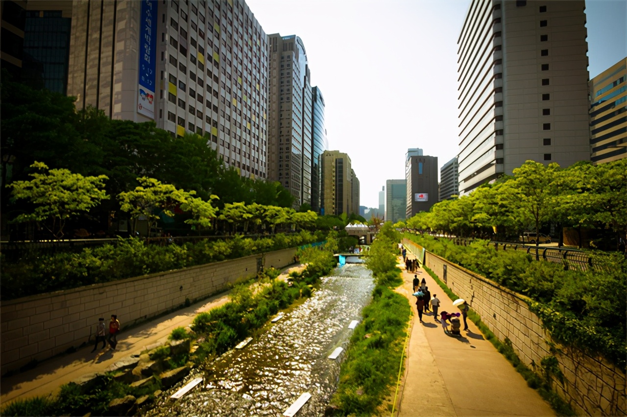 韩国畸形经济,韩国审美畸形
