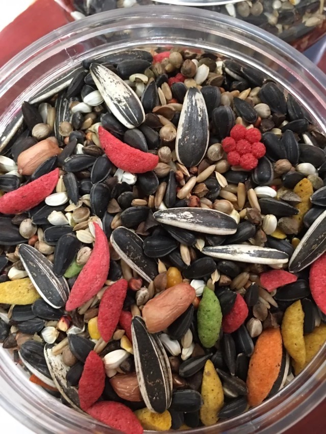 家养鹦鹉喂小米,鹦鹉怎么喂谷物好养