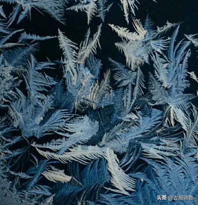 玻璃窗上的霜花像什么,玻璃上的霜花是什么样子