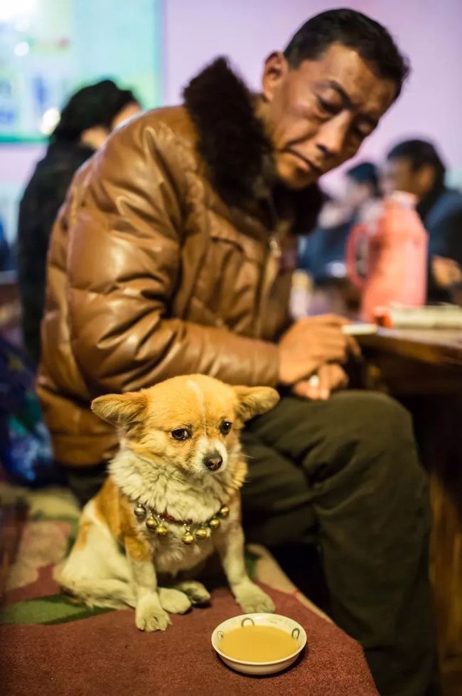 1992西藏砖茶,新疆的砖茶是什么茶