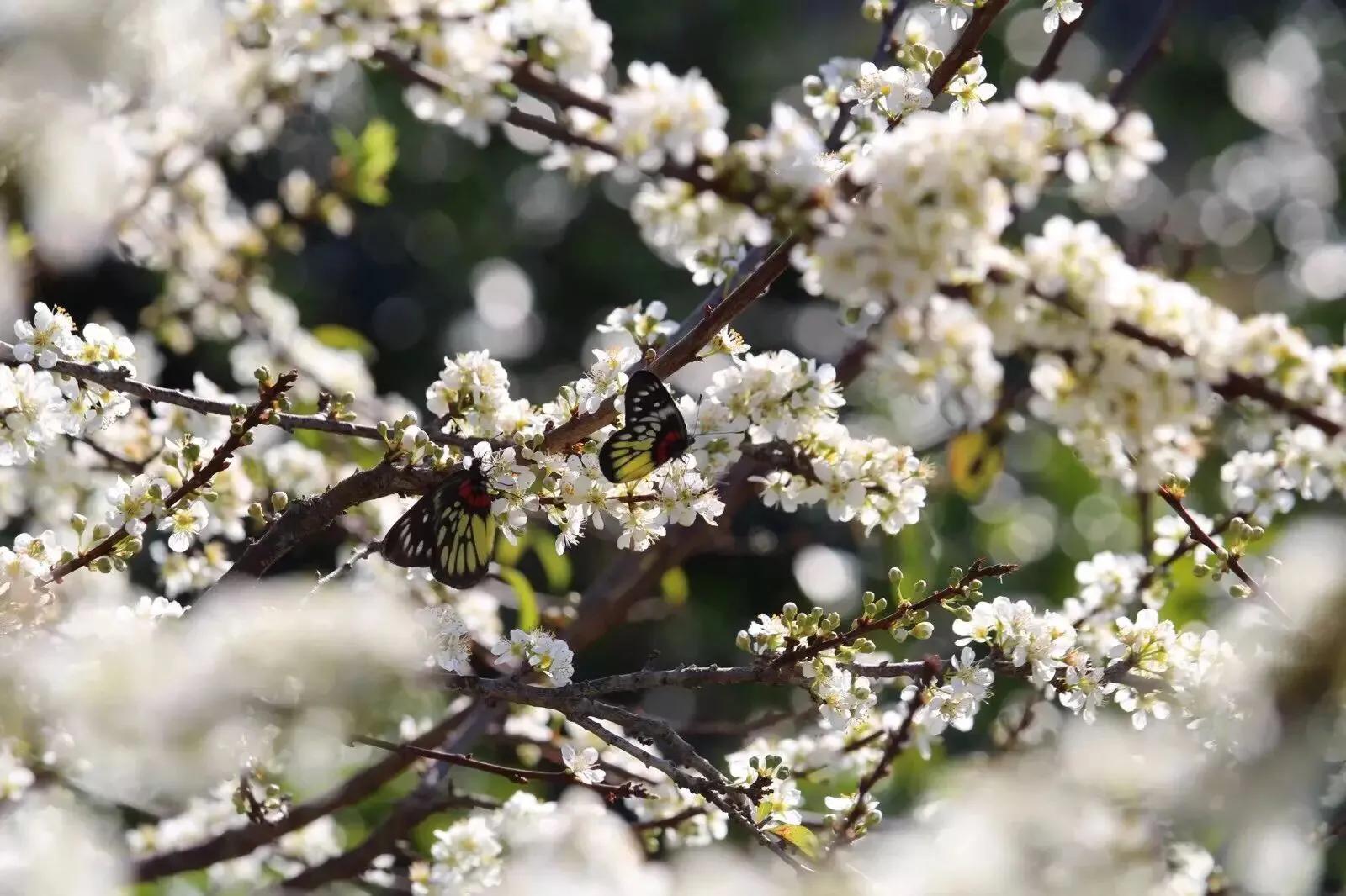 一段感情让你变得自卑又自负,因为自卑所以爱和伤害都是加倍的