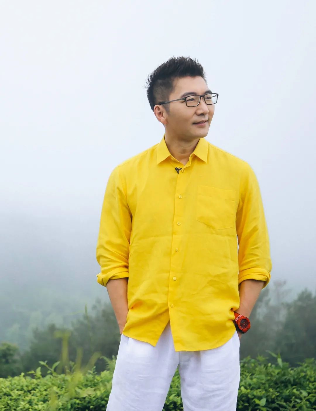 赵胤胤陈数相亲全集,赵胤胤陈数婚礼