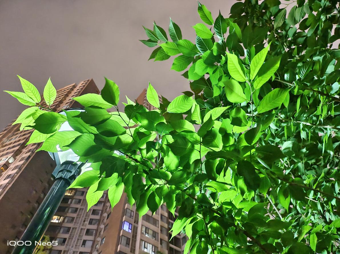 iqooneo5与iqooneo5se区别,iqooneo5实际体验