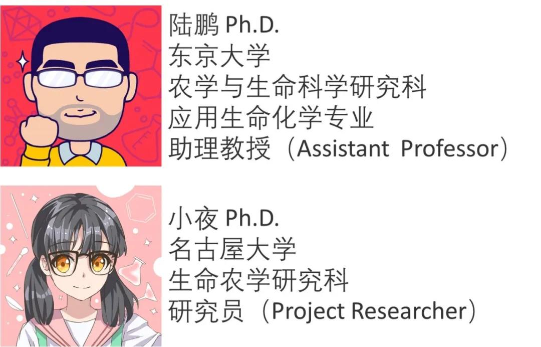 脚气和真正的脚气病有何区别,脚气跟脚气病是一样的吗