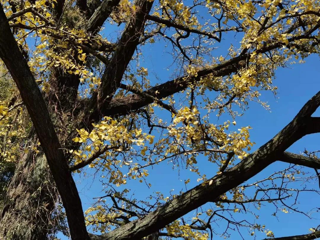 行走｜物华天宝宝华山