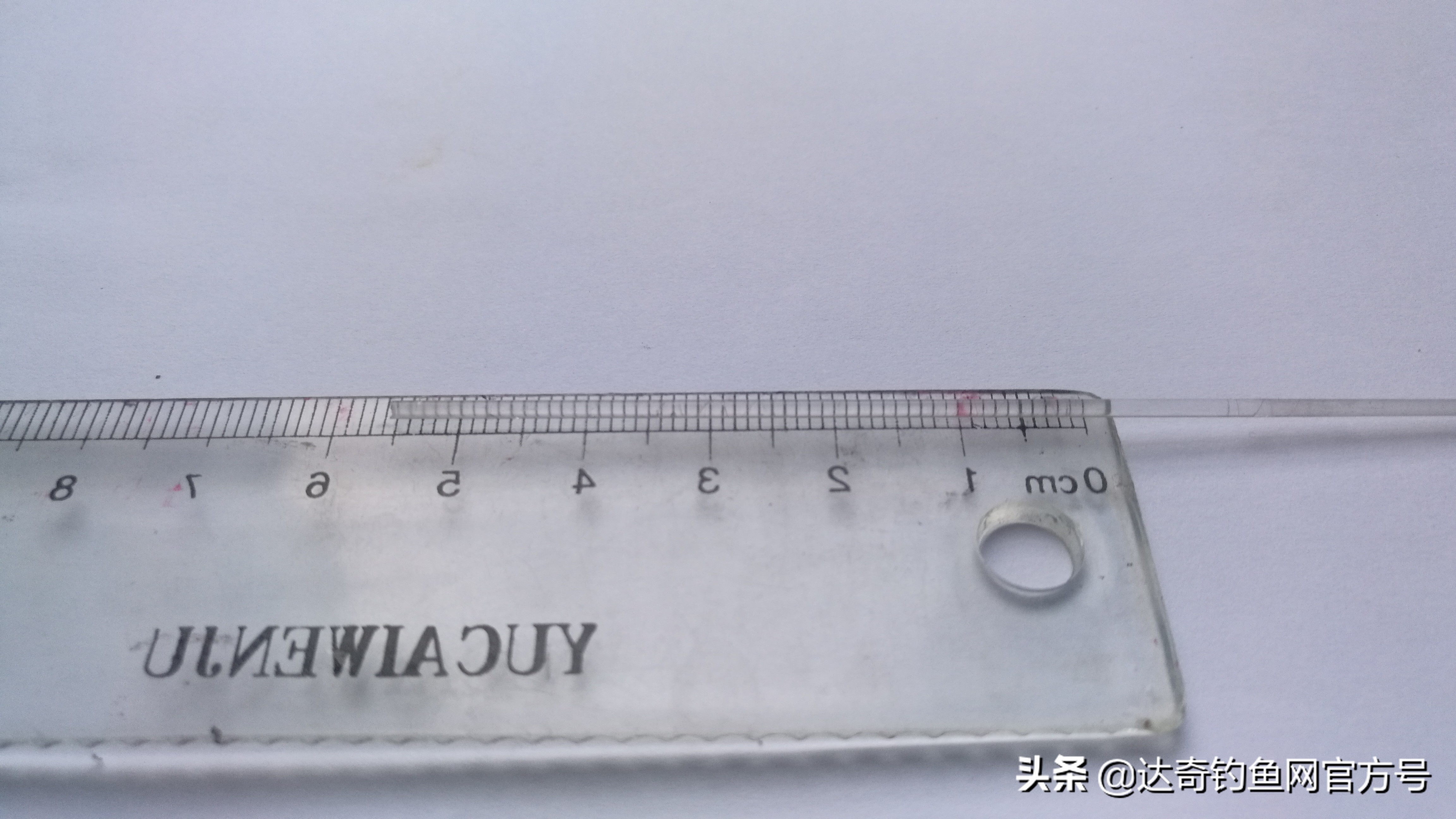 水晶尾浮漂和普通浮漂区别,水晶尾浮漂的视觉效果