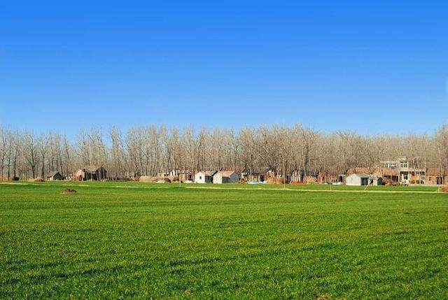 为什么南方农村的房子可以随便盖,为什么南方农村都盖楼北方盖平房