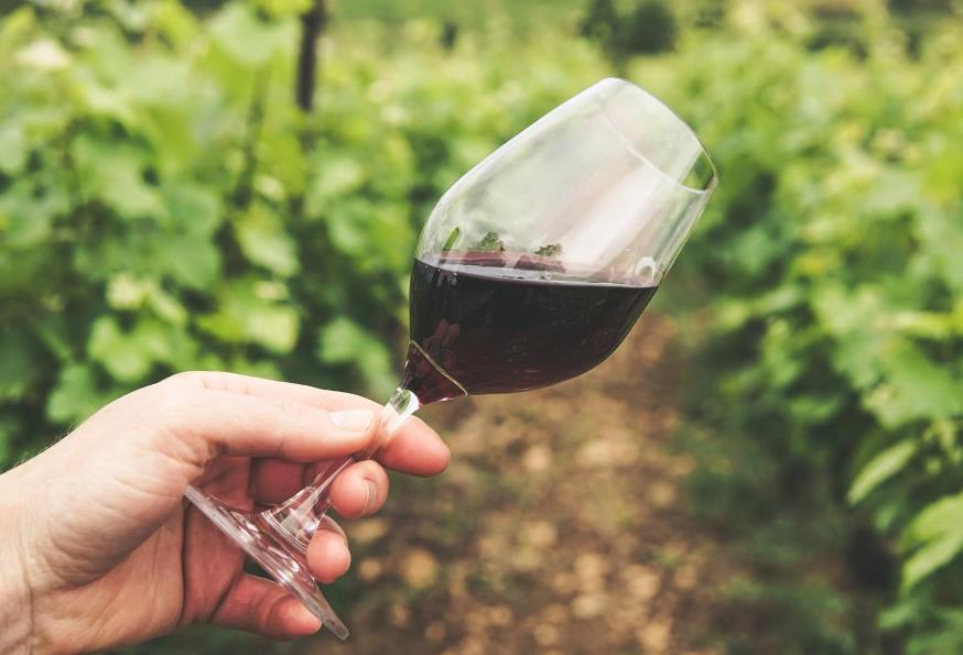 葡萄酒没人喝了？最牛张裕A2020年业绩“腰斩”