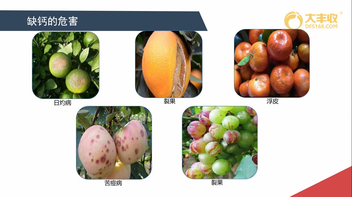 补钙施什么钙肥好,补了钙还缺钙