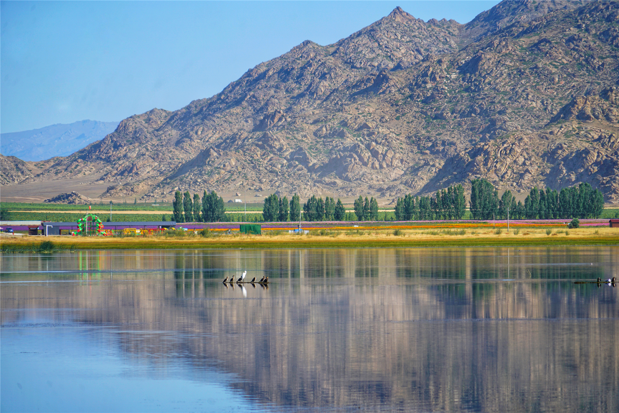 7月新疆可可托海,冬天去可可托海有什么值得看