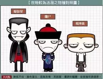 程序员梦想中的真实生活,我眼中的程序员世界