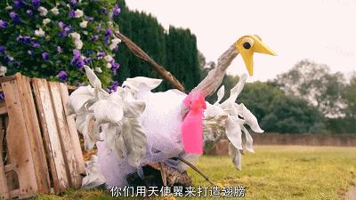 这也能拍出花?网飞又开挂了,每集都让我惊掉下巴