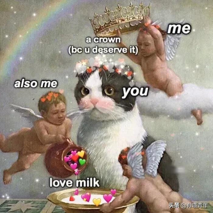 养猫应该如何起名,猫的名字越贱越好养活