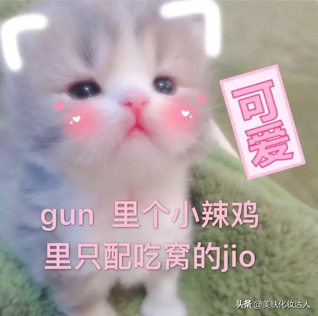 新品网红明星同款,明星同款网红款