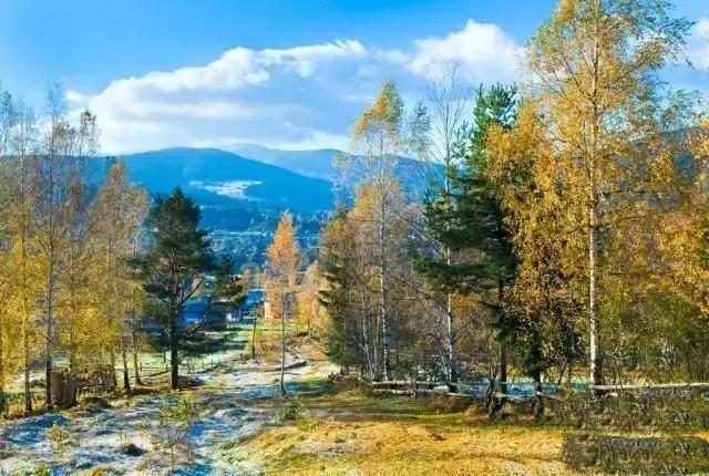 晓晴寒未起，霜叶满阶红。霜降时节，读古诗词，邂逅时光里的暖