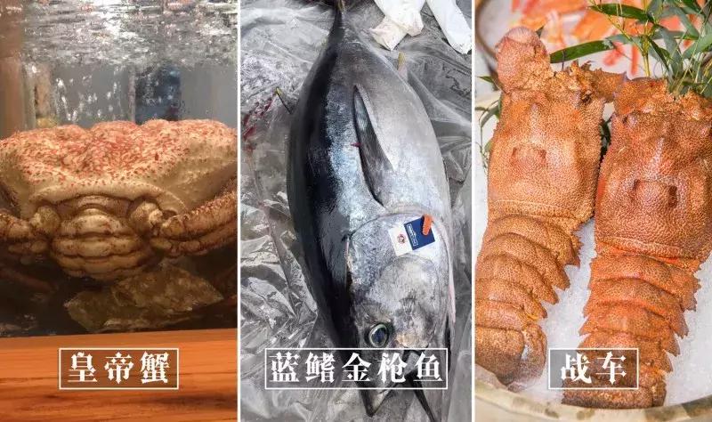 藏在虹口这家超奢「割烹料理」，竟还有米其林一星背景！