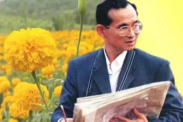 泼水节泰国热门,泼水节泰国情况