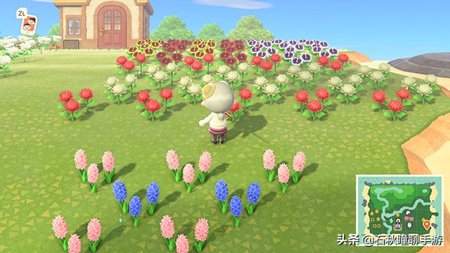 动物之森新手攻略,动物之森100个小技巧