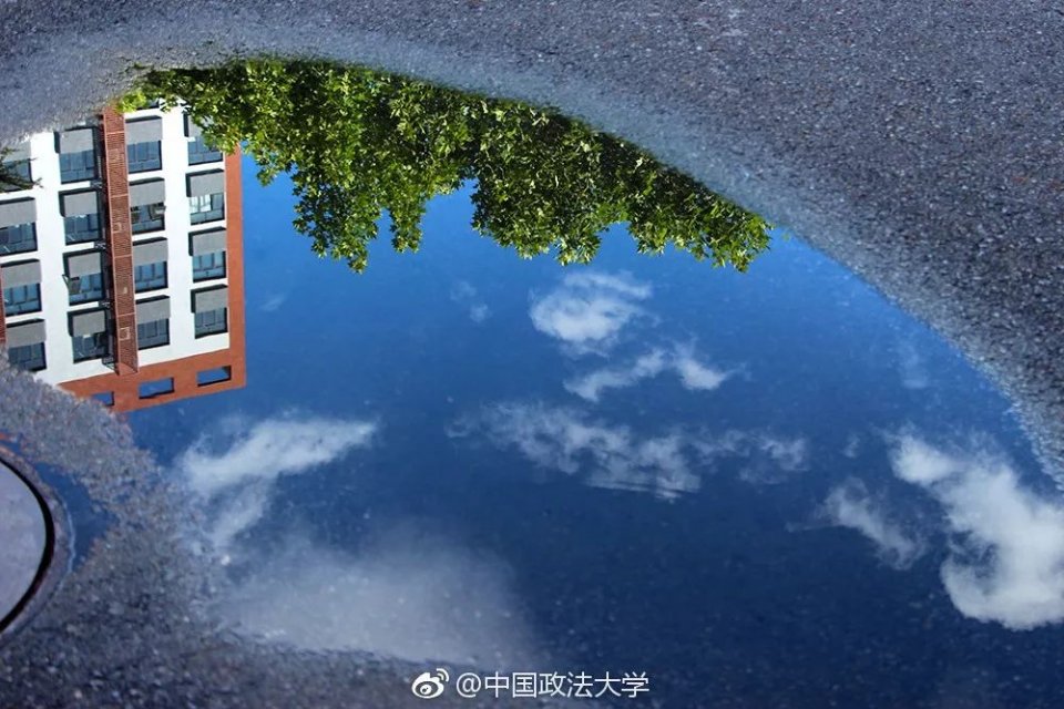 传疯了！北京第一美女找工作，简历惊呆全国！