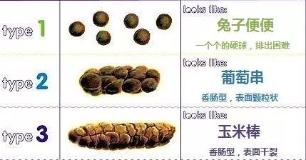 婴儿多久不大便算便秘,宝宝经常便秘排便费力怎么办