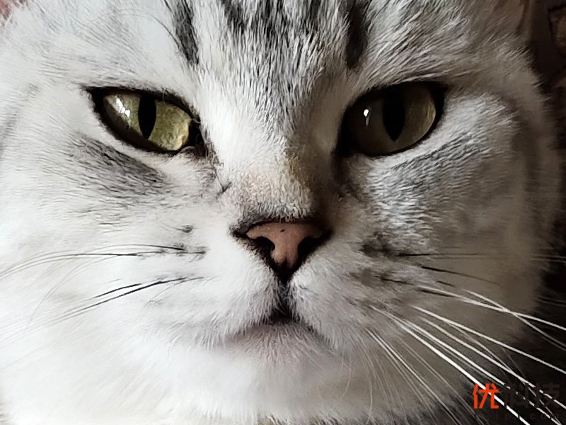 5g时代来临iqoopro5g优势很明显,iqoopro一代5g和4g有什么区别