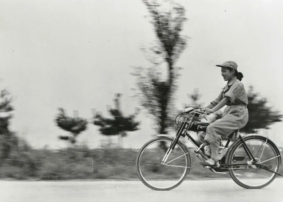 铃木有哪些车企,铃木为什么坚持发展小车