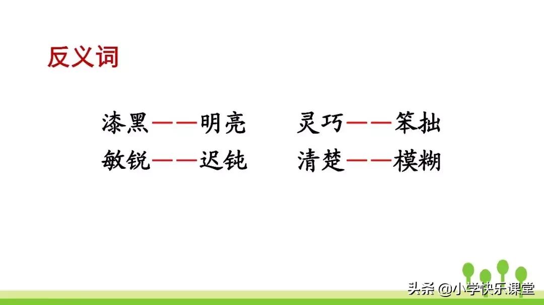 四年级上册语文蝙蝠和雷达课后题,部编版四年级上册语文蝙蝠和雷达