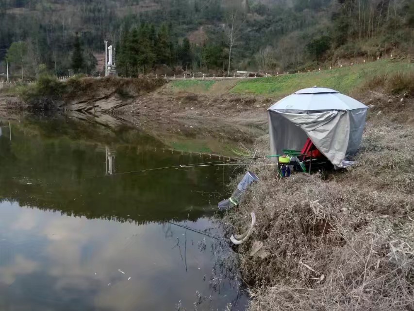 钓鱼大家用钓椅还是钓箱还是钓台,新手买钓椅还是钓箱还是钓台