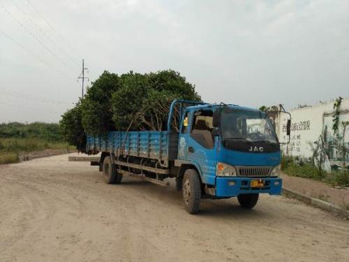 跑货运不挣钱怎么办,想改行做货运怎么办