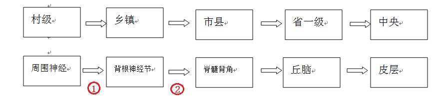 宣医科普|明明截肢了，为什么还感觉疼？