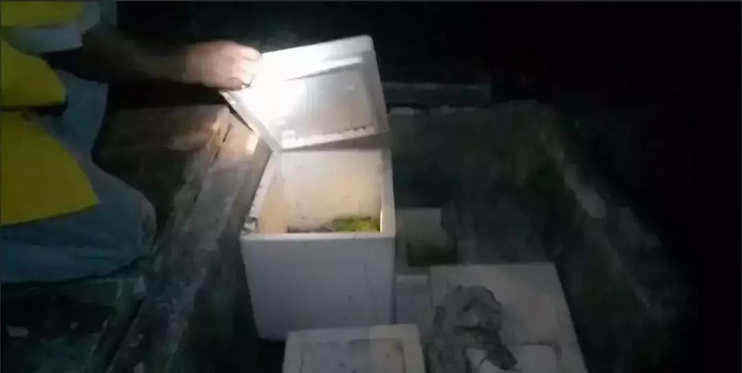 2018年泰国婴尸被盗案,泰国婴儿尸体真实事件电影