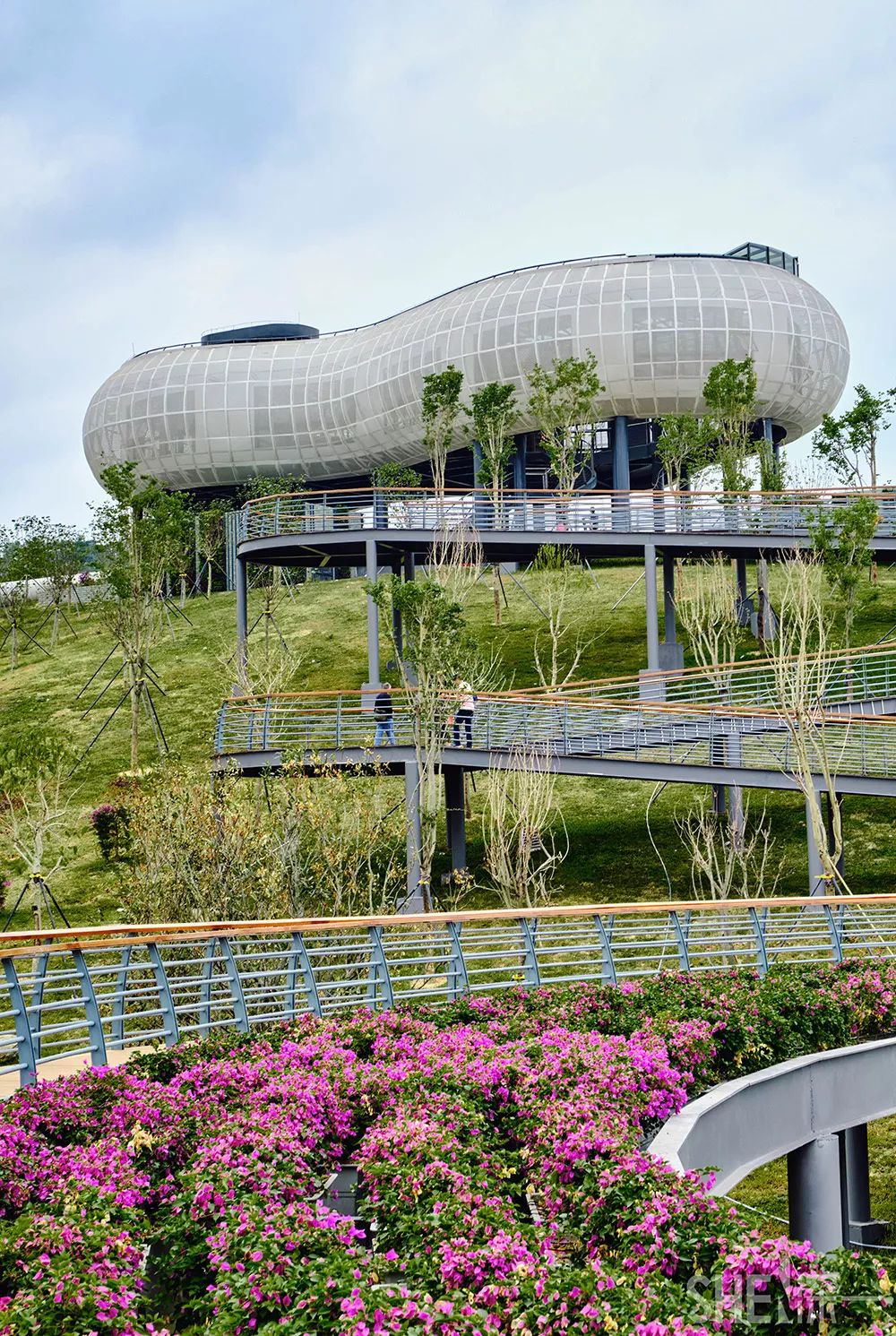 龙华新公园在哪里,深圳龙华区免费的公园