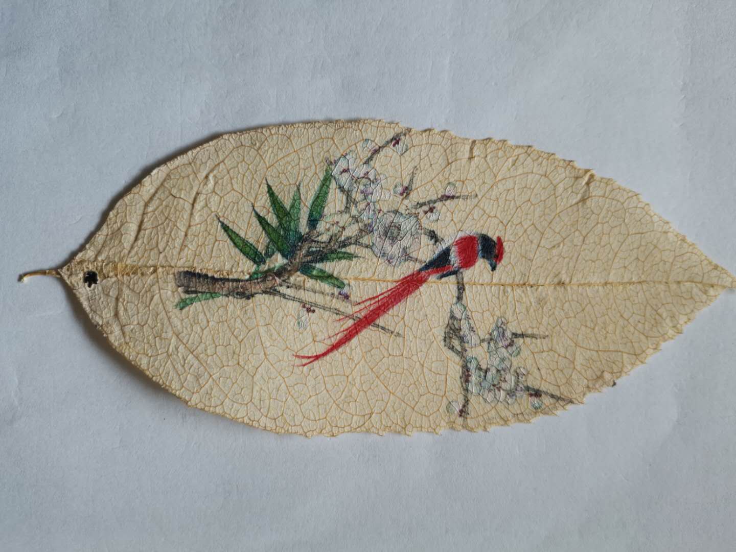 叶脉画黄石唯一创作者,资中非物质文化遗产叶脉画