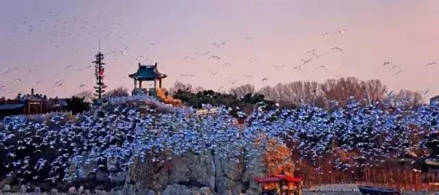 秦皇岛七夕去哪里玩比较浪漫,秦皇岛七夕节大家都去哪