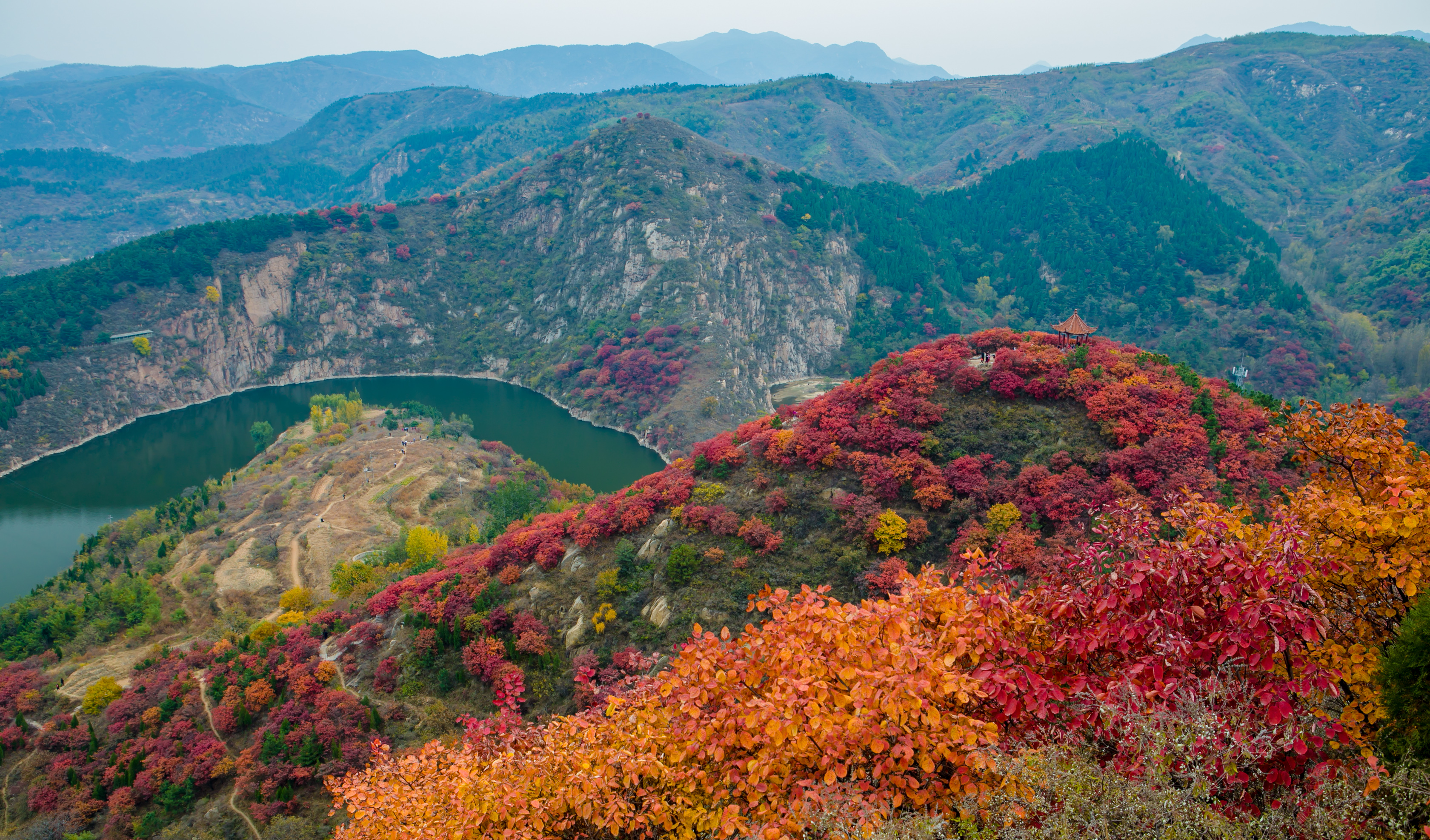 入秋济南好去处,济南秋季看花打卡地