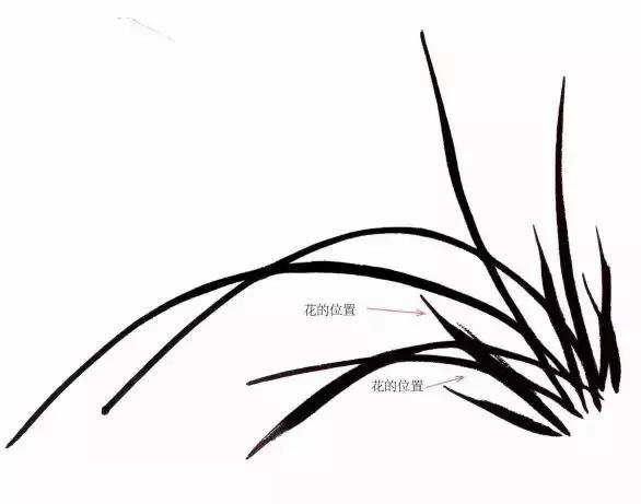 徐湛国画兰花的画法,徐湛国画兰花的画法视频教学