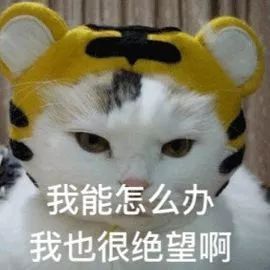 脱毛的方法不花钱,脱毛小技巧立马见效