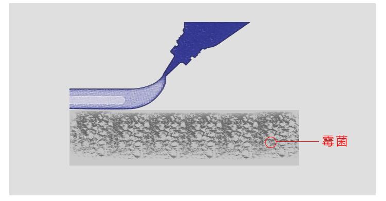 家里洗手台变黑发霉怎么办,洗手台霉菌怎么去除最快最有效