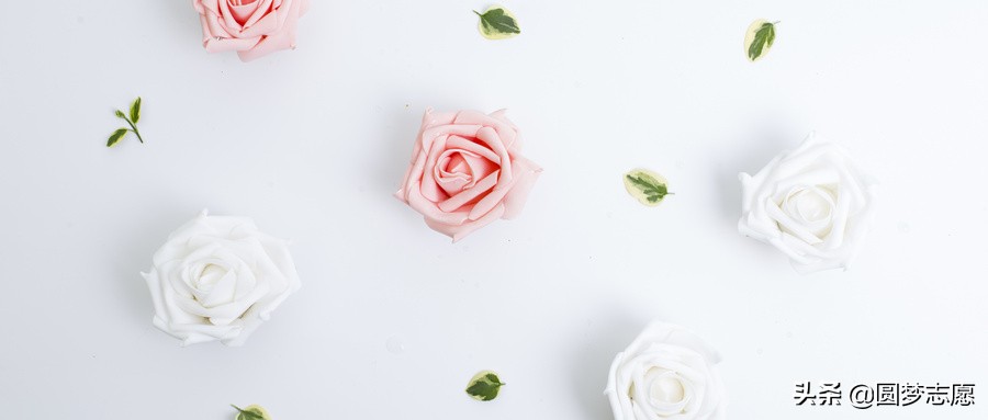 专科生也可以免试教资吗,地方公费师范生的出路在哪里