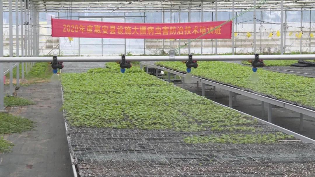 特色农业致富模式,农业致富新道路