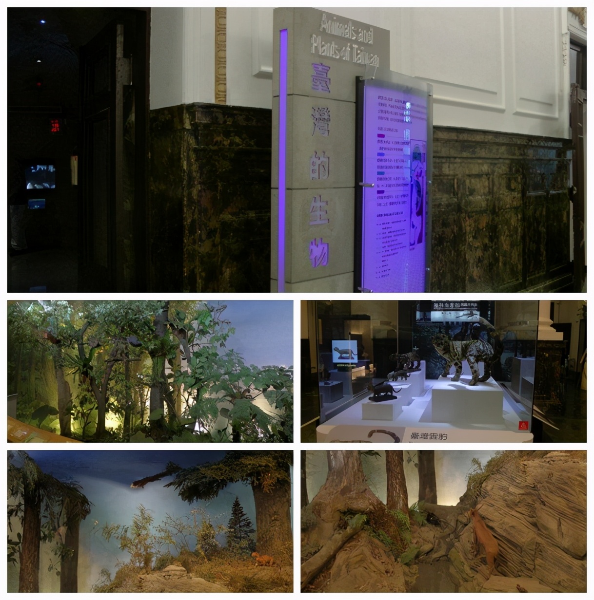 台湾8日游攻略自由行路线图片,台湾环岛之旅8日游