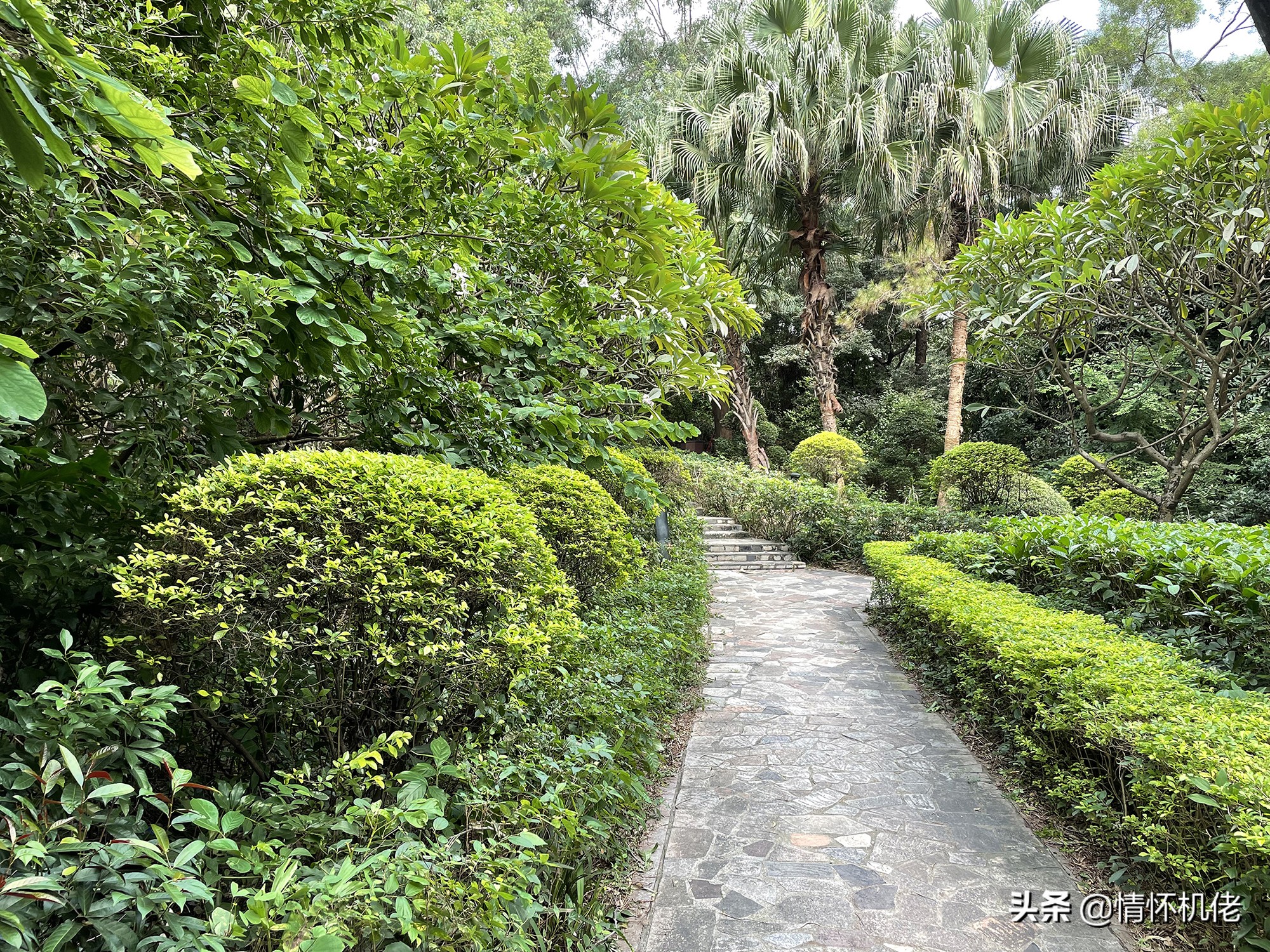 诺基亚n95当年曾经的辉煌,诺基亚n95远古视频